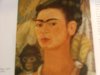 FRIDA