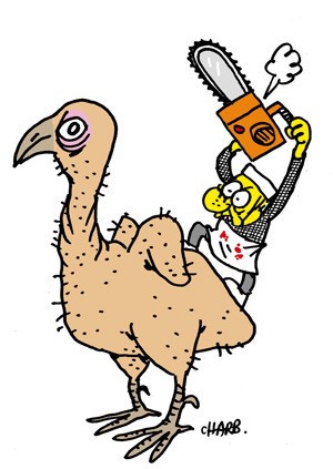 Canard Boiteux Ou Poule Aux œufs D Or Agoravox Le Media Citoyen