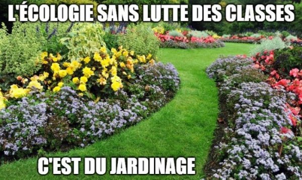 JPEG