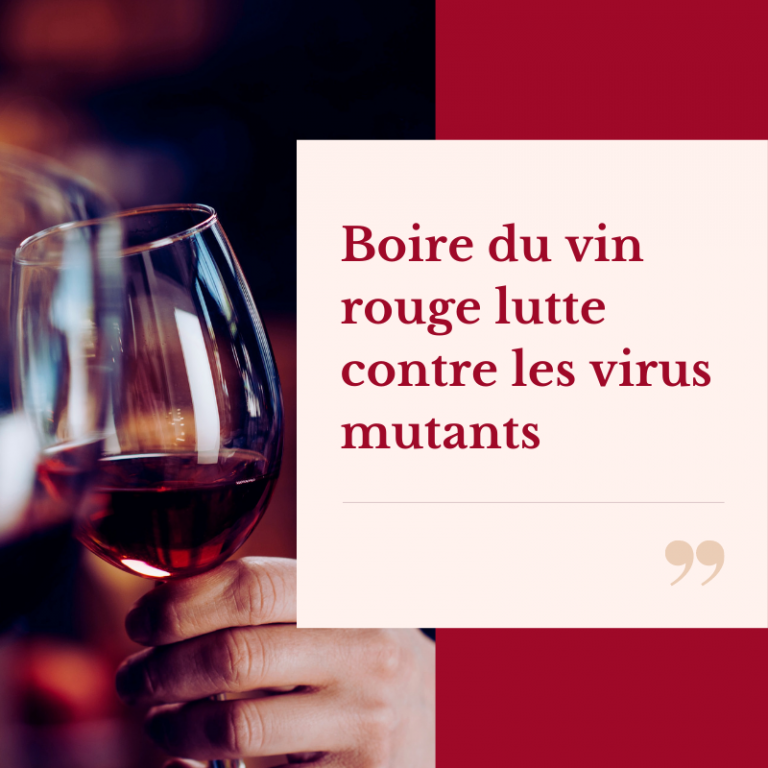 Test : Et si on buvait du vin sans alcool ? - Tout sur le Vin